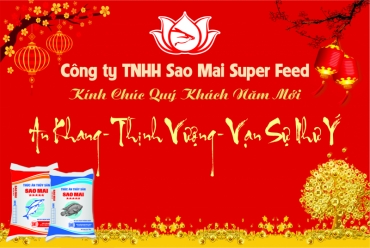 sao mai super feed chuc mung nam moi 2019